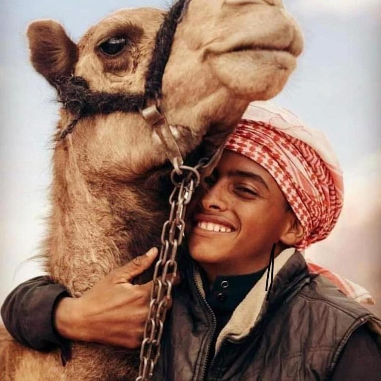 Wadi Rum Desert Heart Camp المظهر الخارجي الصورة