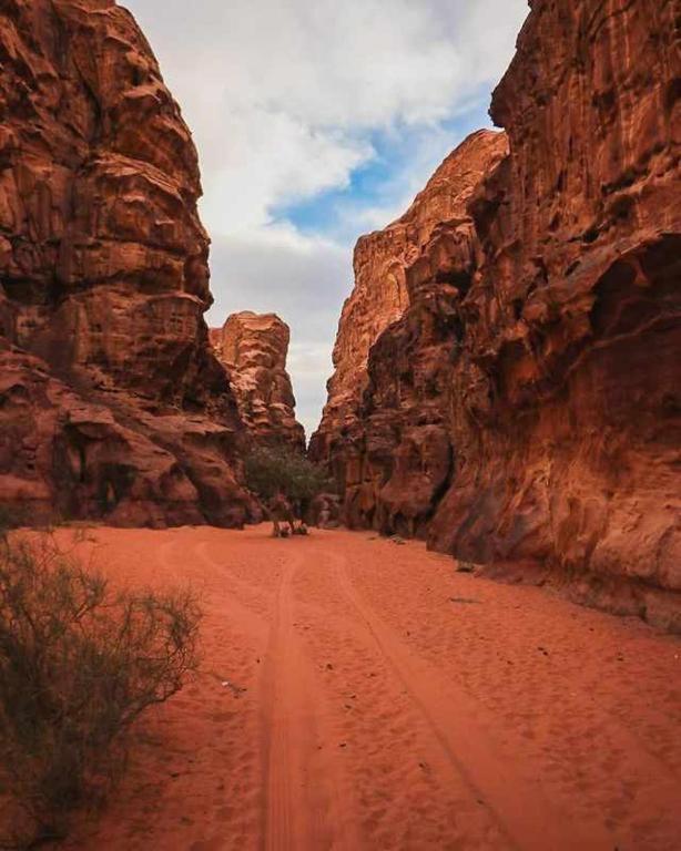 فندق Wadi Rum Desert Heart Camp المظهر الخارجي الصورة