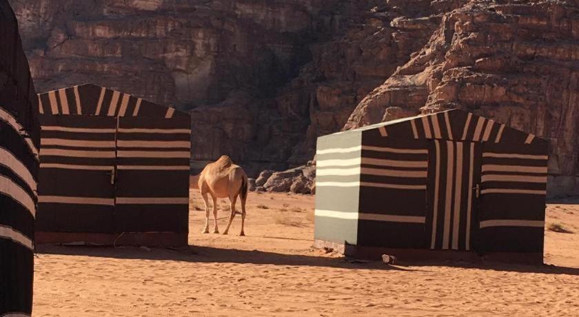 Wadi Rum Desert Heart Camp المظهر الخارجي الصورة
