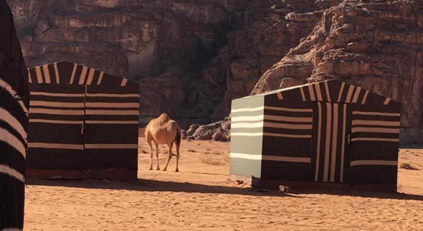 فندق Wadi Rum Desert Heart Camp المظهر الخارجي الصورة